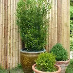 فندق مبيت وإفطار Manoir De Bois En