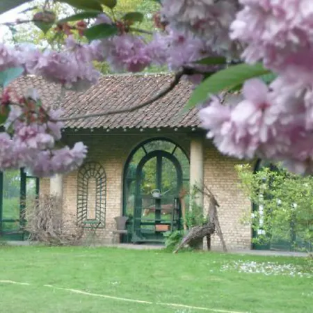 Manoir De Bois En