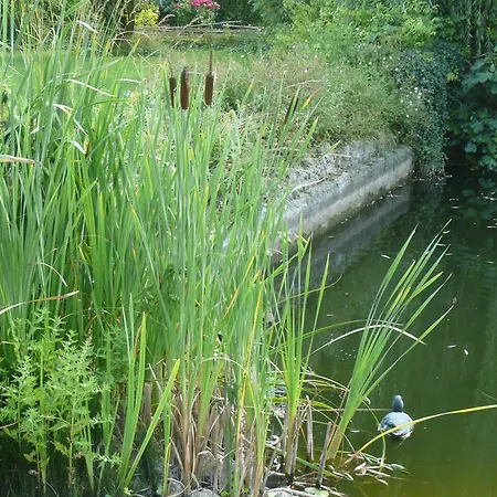 Manoir De Bois En * Ardres