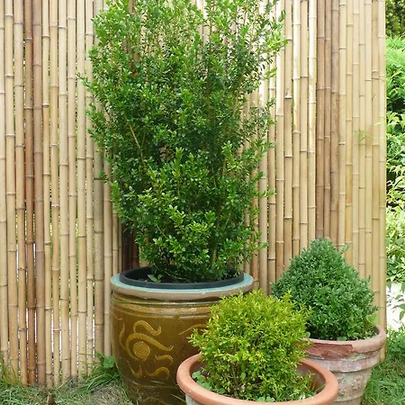 לינה וארוחת בוקר Manoir De Bois En