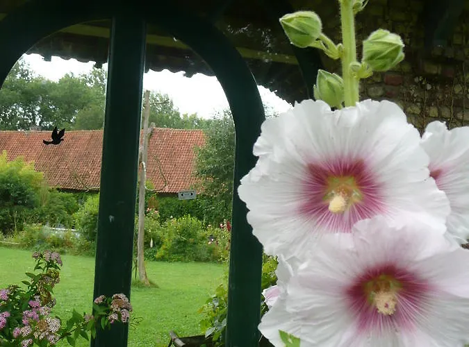 Manoir De Bois En Couette-café *
