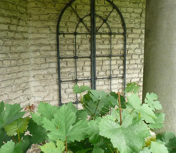 Manoir De Bois En Couette-café